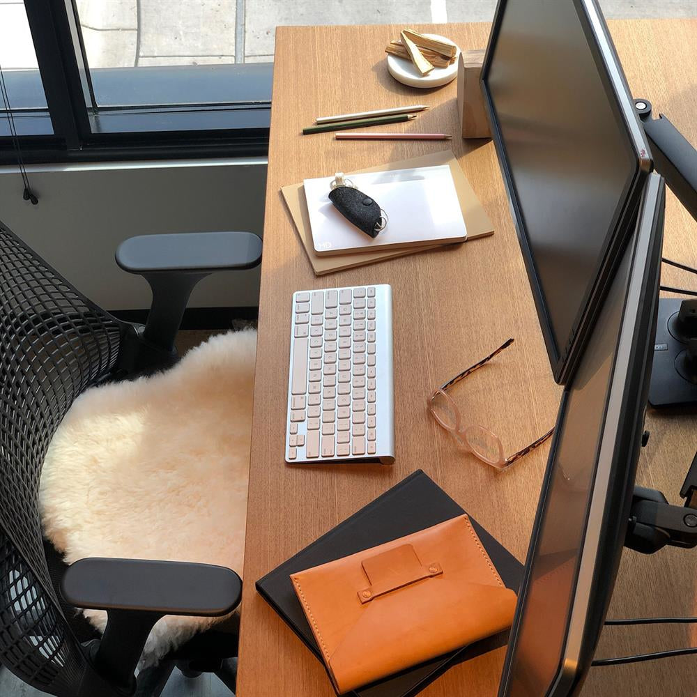 Ergotron MXV – Monitorarm, Dual, Tischklemme, Schwarz