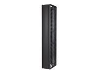 APC AR8775 – Kabel-Organizer, beidseitig, 305 × 572 × 2'134 mm, schwarz