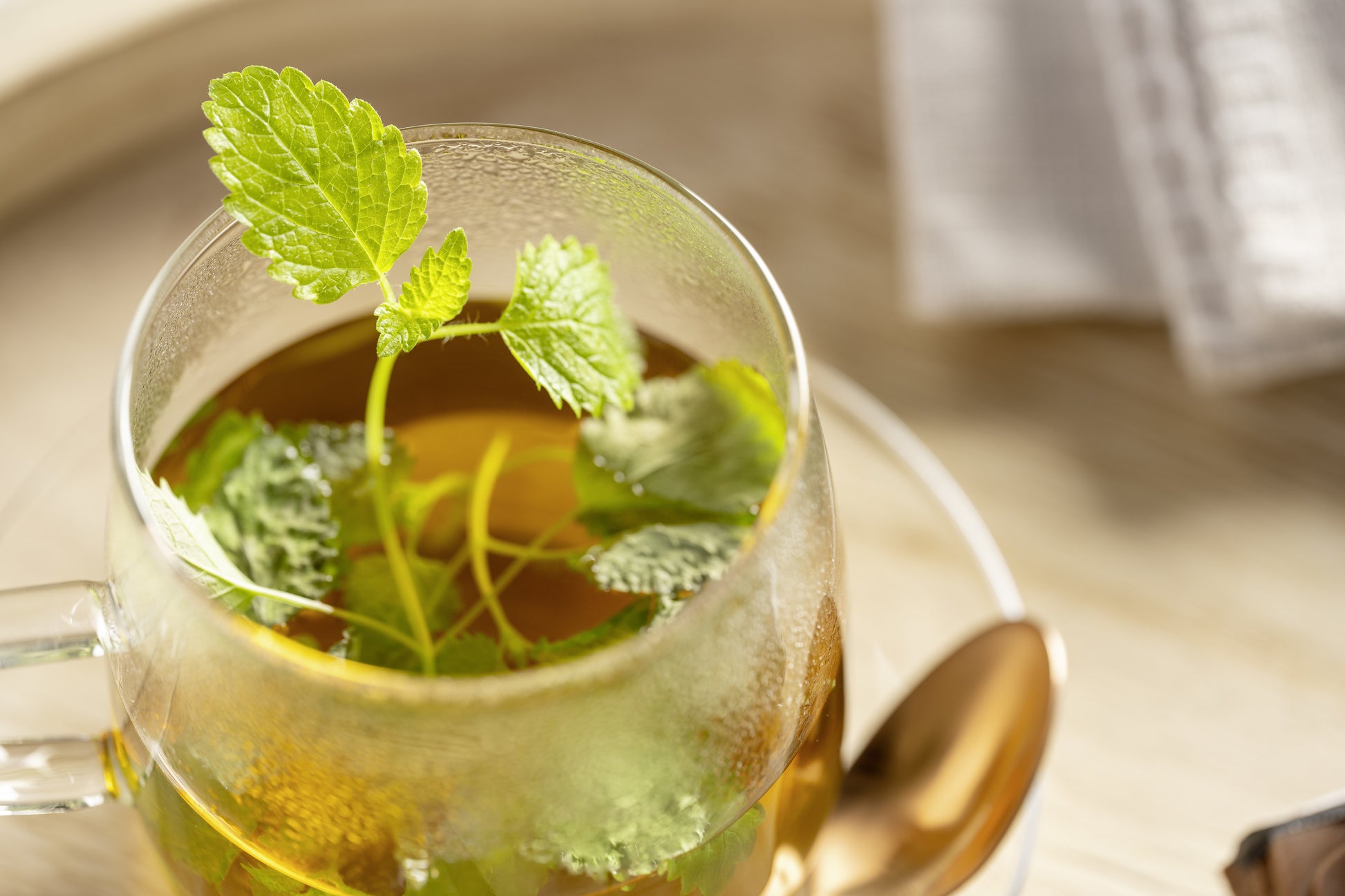 LEONARDO Teetasse – 0,57 l, Glas, transparent, Henkel, spülmaschinenfest, mikrowellenfest, 4 Stück