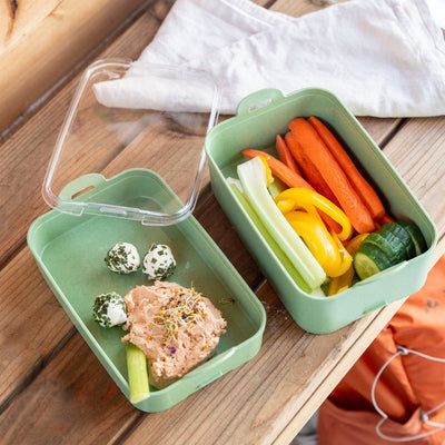 koziol STAKK – Lunchbox 2 l, 14 × 22,8 × 10,8 cm, Biokunststoff, transparent/grün