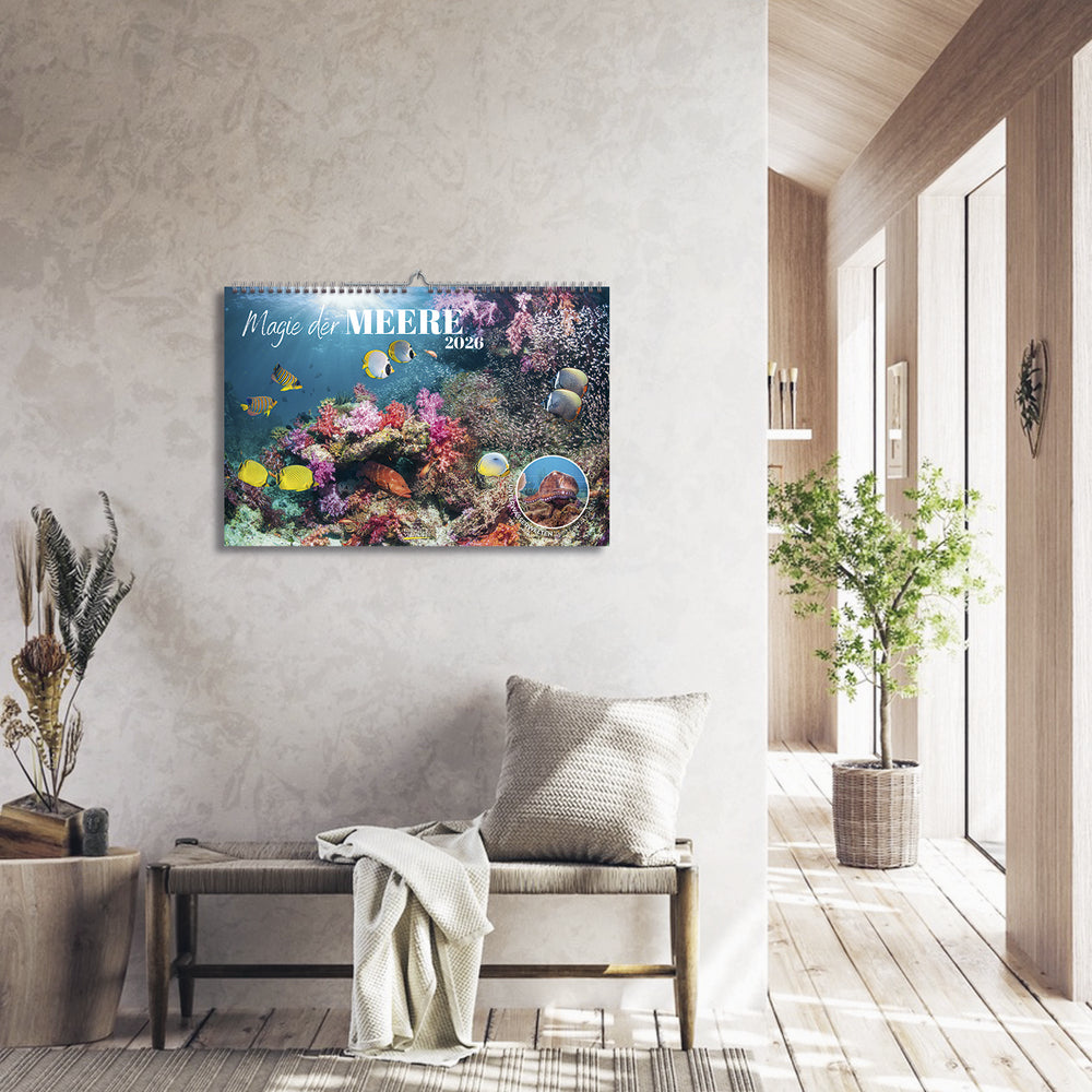 Korsch Verlag Magie der Meere – Bildkalender 2026 – 58 × 39 cm