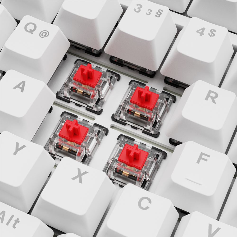 Sharkoon SGK25 – Tastatur 75% – Mechanisch – Verkabelt, USB-A – QWERTZ (DE) – RGB – Ohne Ziffernblock