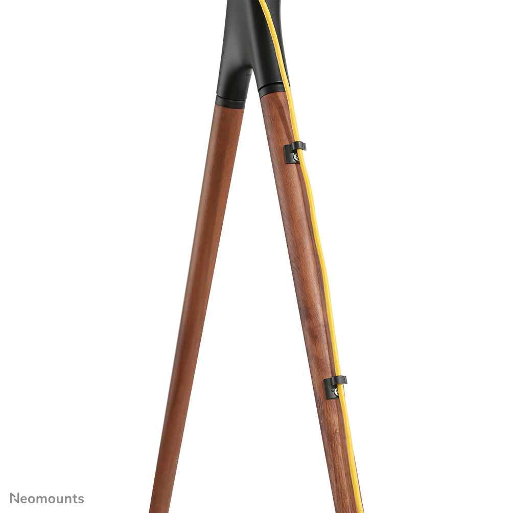 Neomounts Höhenverstellbarer Displayständer für 37–70", VESA 200×200–600×400, bis 40 kg, schwarz