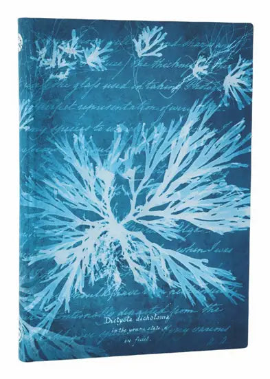 Paperblanks Notizbuch, 175 × 122 mm, blanko, gebunden, Hardcover, 80 Seiten – Meeresblumen (grünblau)