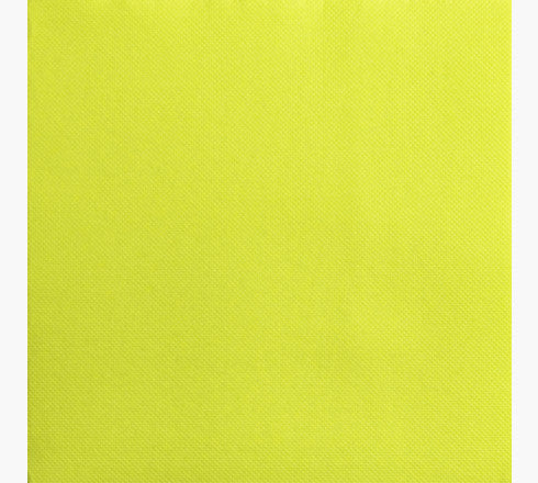 PRONAPPE Servietten – eukalyptusgrün – 38 × 38 cm, 2-lagig – 40 Stück