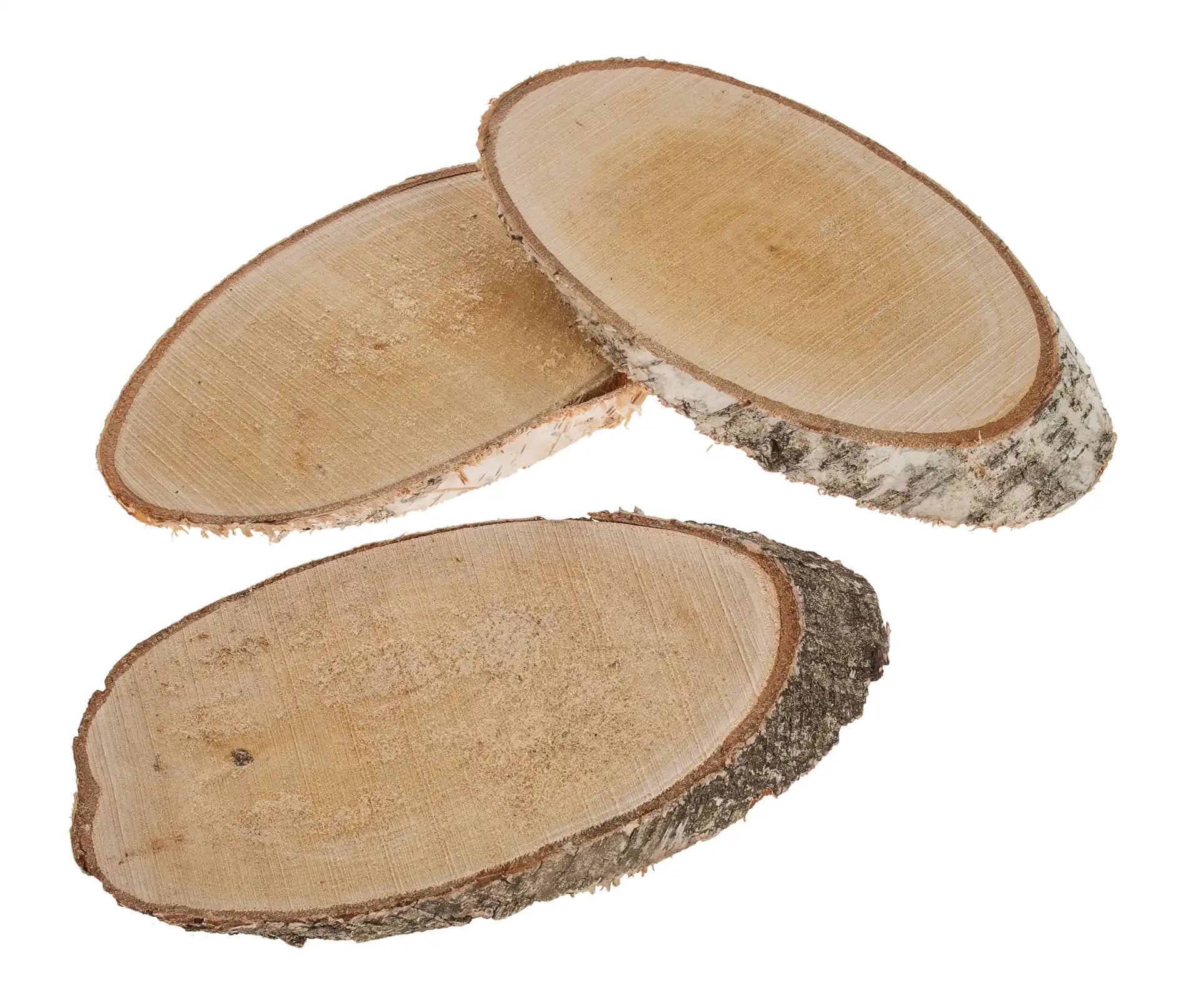 Opiflor Holzscheiben, Birke, Braun, 28 × 2 cm, 10 Stk., oval