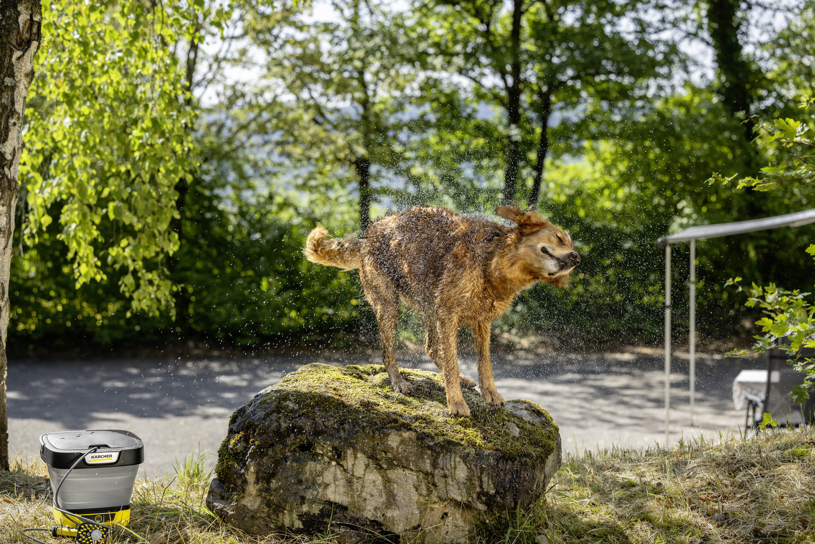 Kärcher Scheuerbürste Haustier – 8,5×9×6,8 cm, schwarz/weiss, für Kärcher OC 3, OC 3 + Adventure & weitere