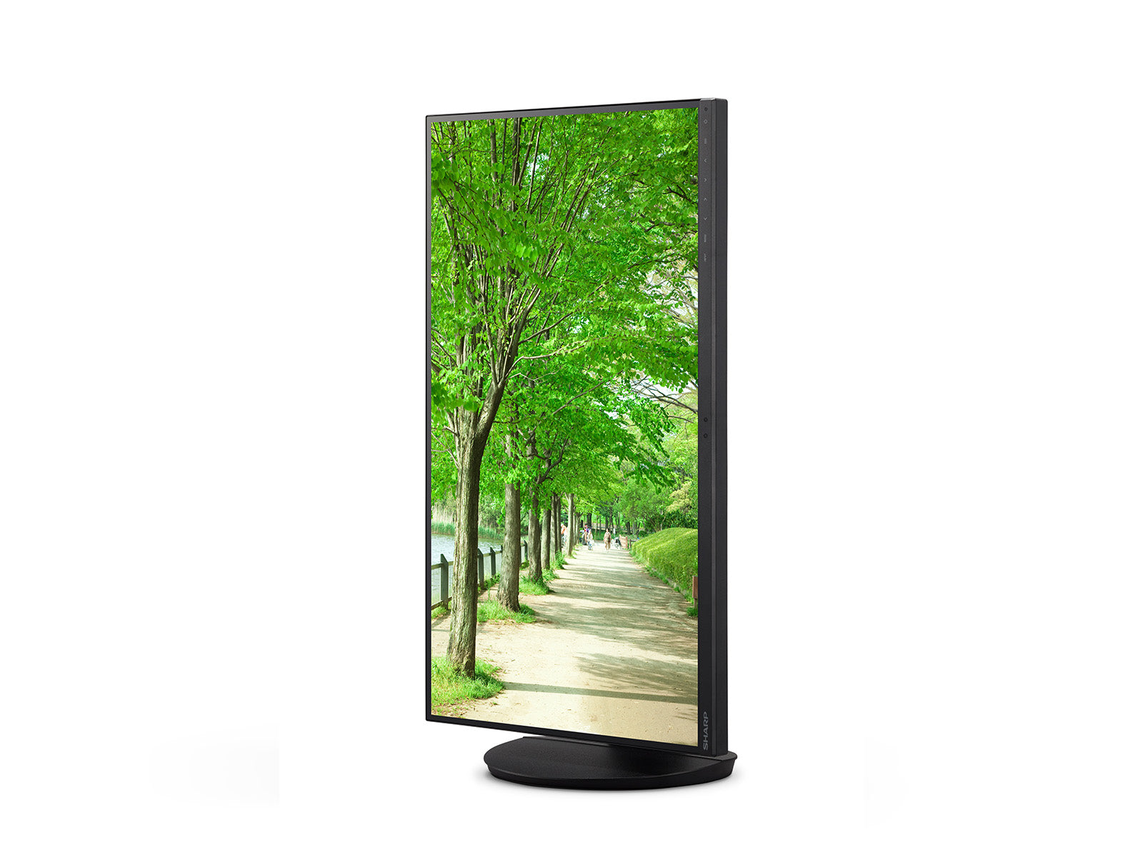 Sharp EA272UB – 27", 3840 × 2160 (4K), IPS, USB-C 90 W, LAN
