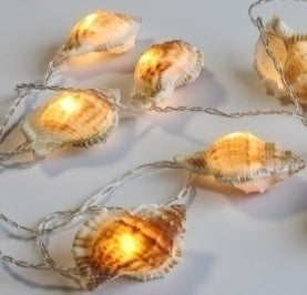 Dameco Lichterkette 12er-Set – 1,35 m – Warmweiss – Batteriebetrieb – Timer – Beige