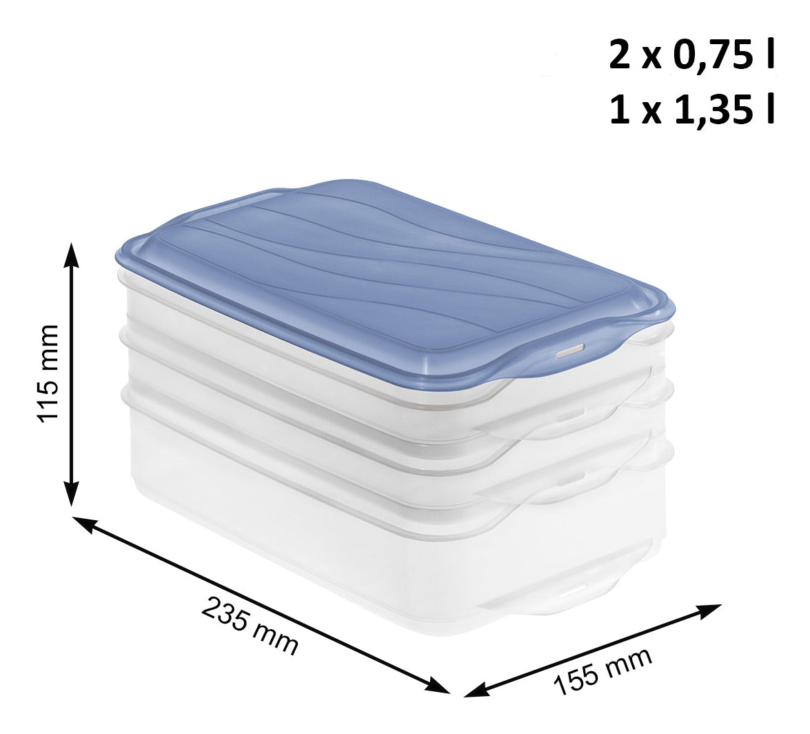 Rotho Vorratsdose 2,9 l, 15,5 × 23,5 × 11,5 cm, Polypropylen (PP), transparent/blau