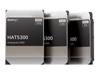 Synology HAT5300-12T HDD 12 TB 3,5" – SATA III, 7200 U/min, 256 MB Cache, für NAS