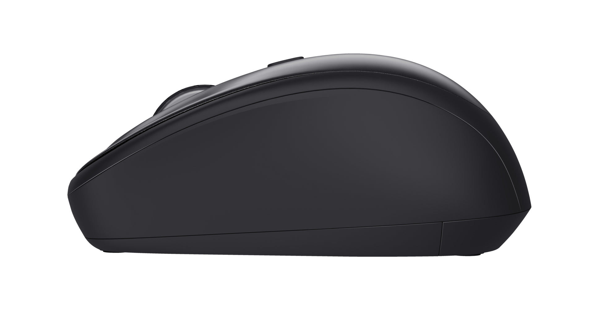 Trust TM-201 für Business – Maus – Kabellos (2,4 GHz), 1600 DPI, rechts