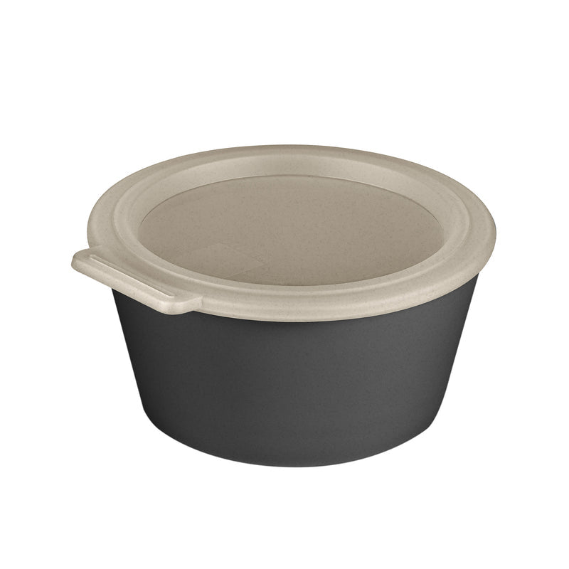 Koziol Schale Move Box – 700 ml, Kunststoff (biozirkulär), mit Deckel, spülmaschinenfest, mikrowellengeeignet