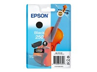 Epson Tintenpatrone 250 (Violin Claria Photo HD), schwarz, 5,3 ml, original – für Expression Photo XP-980