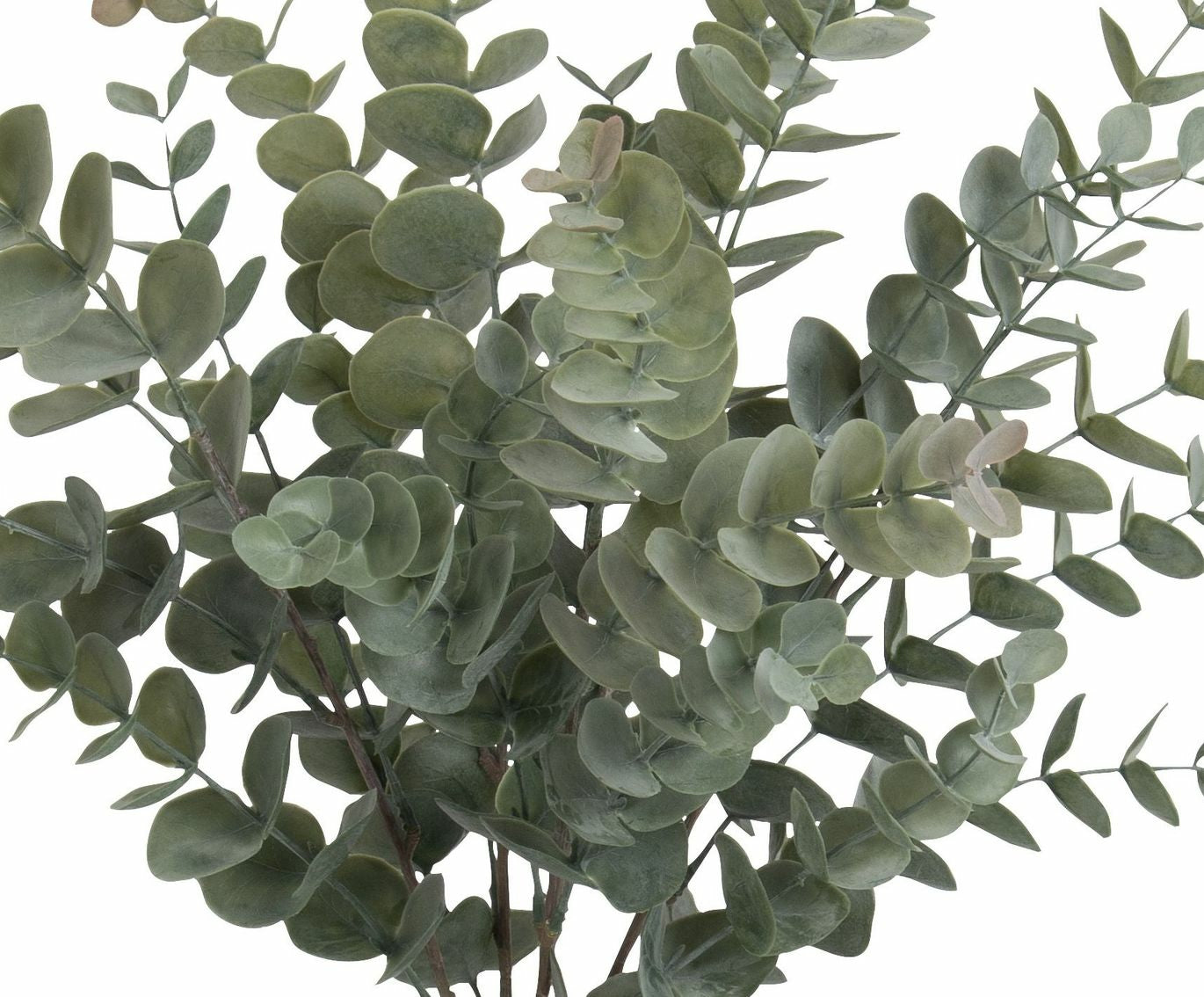 Botanic-Haus Künstliche Eukalyptuspflanze – 56 cm – Kunststoff, Grün – 6-teilig
