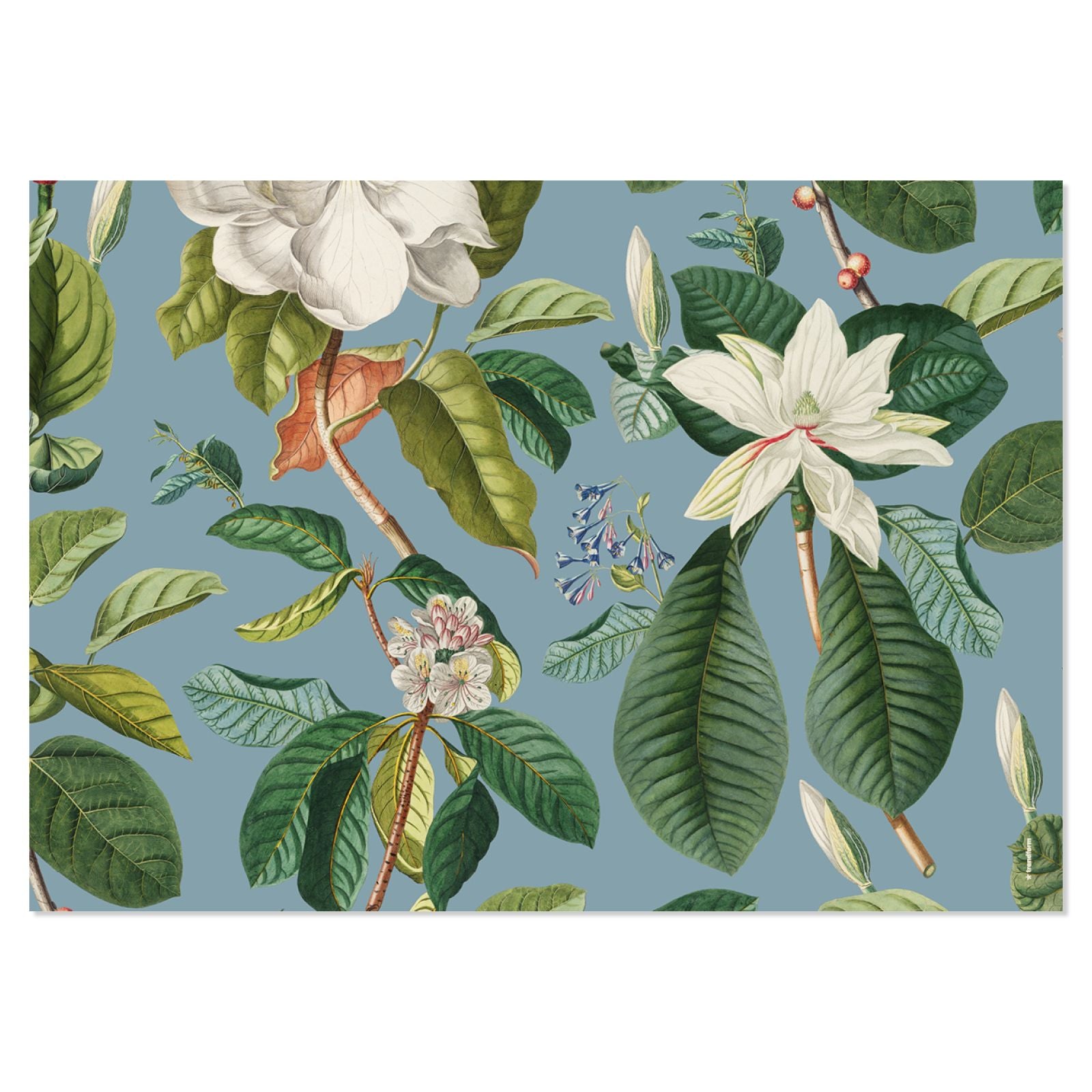 Trendform Tischset Magnolia, Papier, Rechteckig – 42 × 29,7 cm, Mehrfarbig – FSC – 48 Stk.