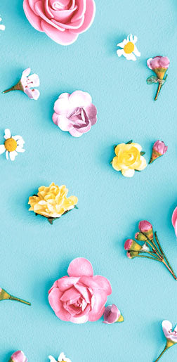 Paper + Design Spring Taschentücher – 4-lagig, 215 × 220 mm – 20 Taschentücher