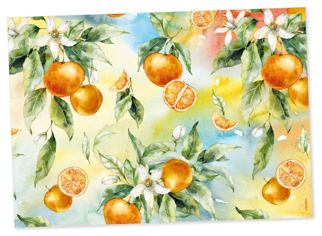 Trendform Tischset – 29,7×42 cm, 6er-Pack, Papier, Mediterrania, FSC