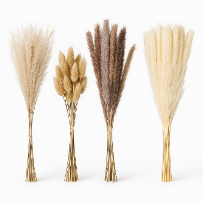 Relaxdays Trockenblumen – Mehrfarbig – 41 cm – 144er-Pack