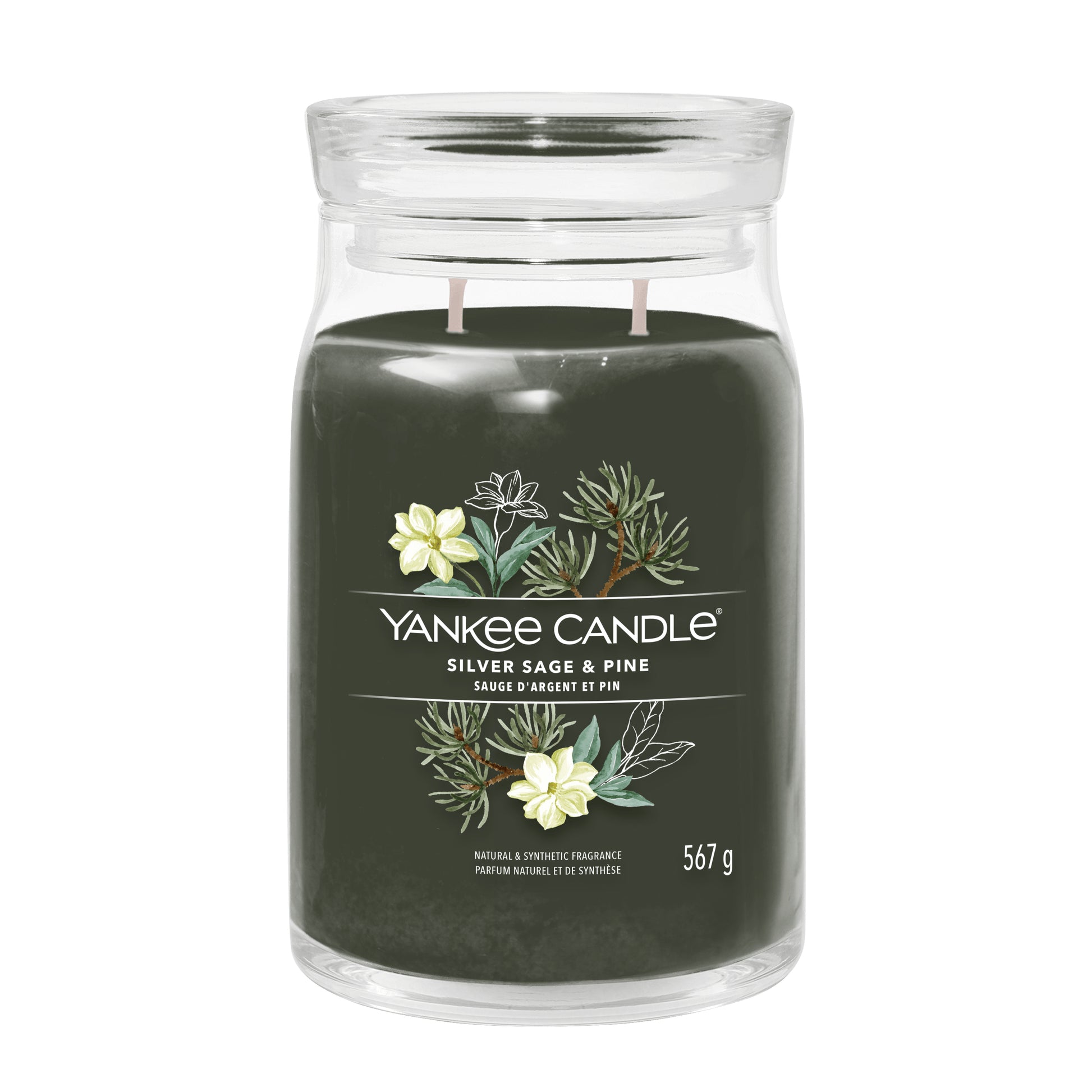 Yankee Candle Duftkerze Silver Sage & Pine, grün, Glas, Ø 9,4 × 15,7 cm, 1 Stück