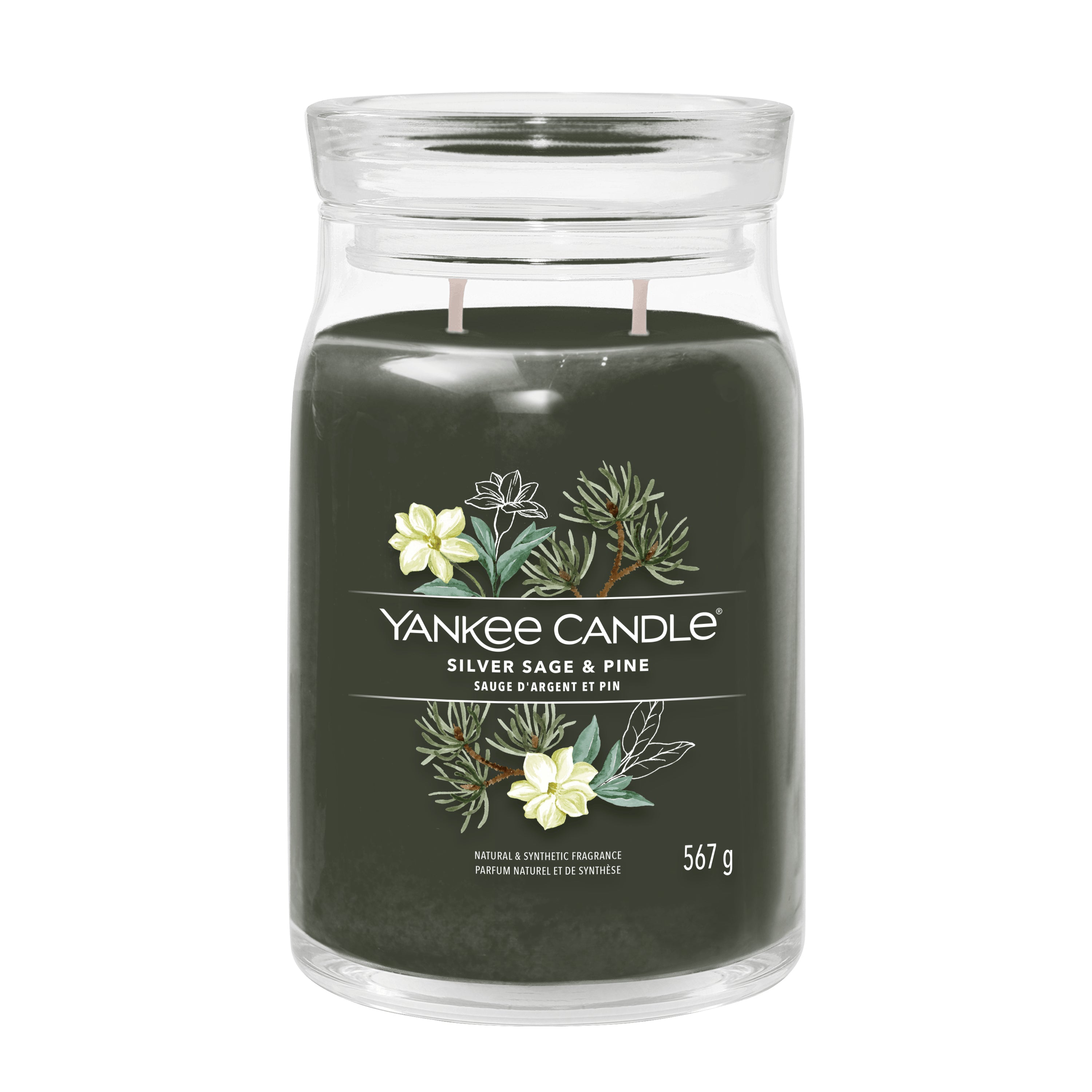 Yankee Candle Duftkerze Silver Sage & Pine, grün, Glas, Ø 9,4 × 15,7 cm, 1 Stück