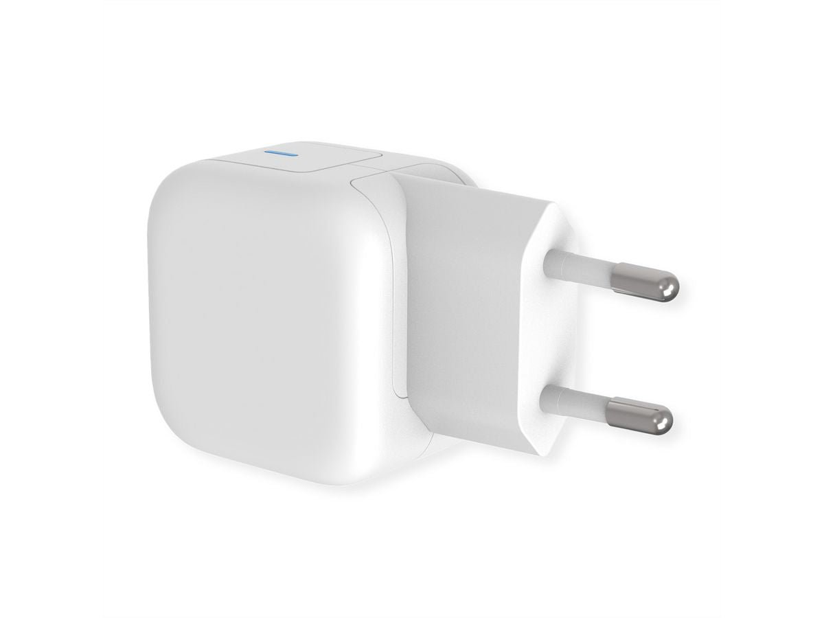ROLINE USB-Ladegerät 20 W – USB-C×1 – GaN, EU-Stecker (Typ C), Weiss