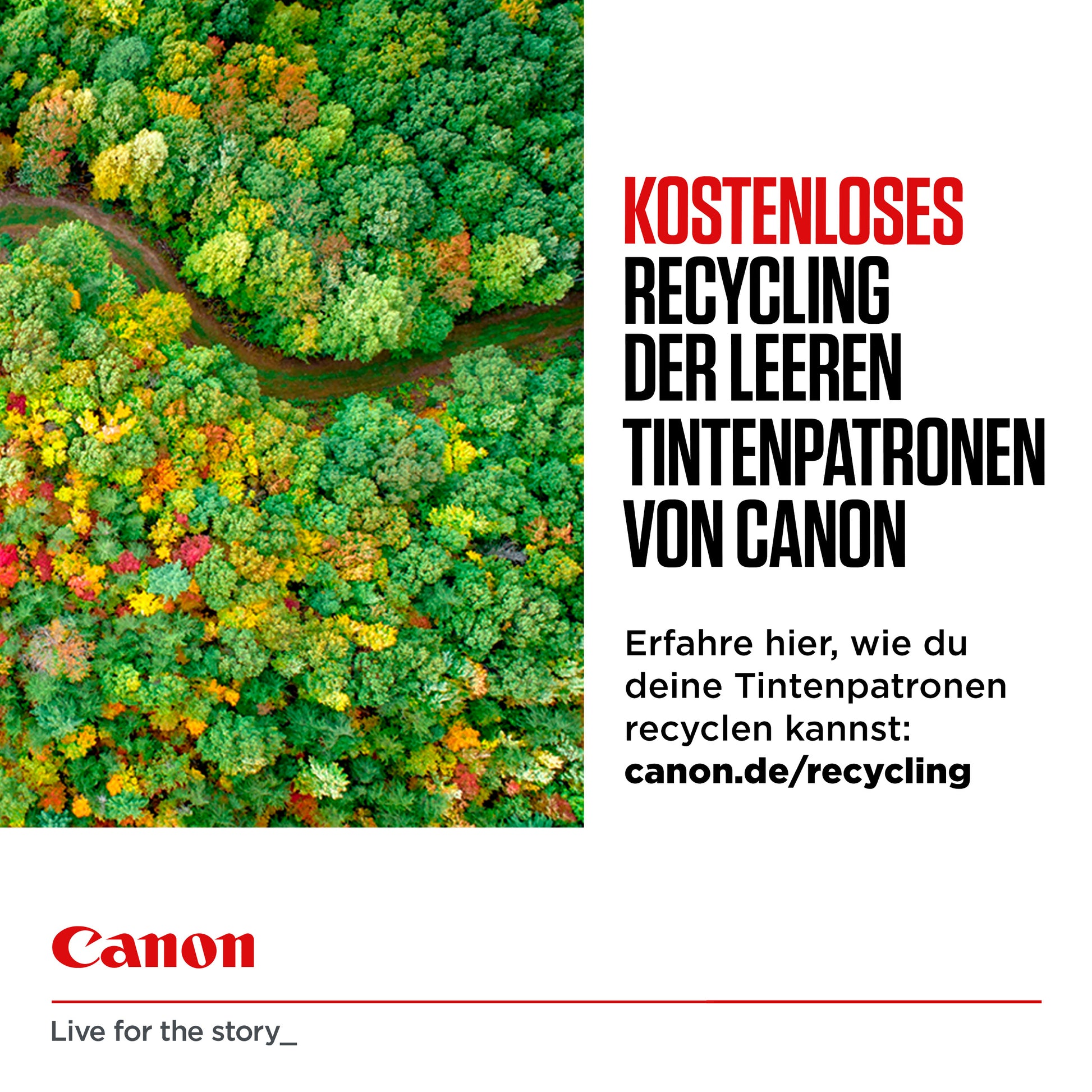 Canon Tintenpatrone CL-586 XL, 14,1 ml