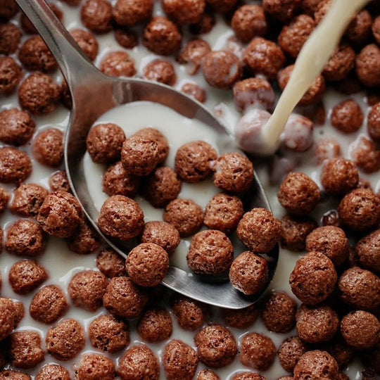 Turtle Choco Balls Cerealien – Schokolade, bio, vegan – 300 g