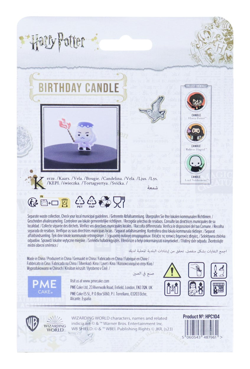 PME Geburtstagskerze Albus Dumbledore – mehrfarbig – 9,5 × 8,5 cm – 1 Stk