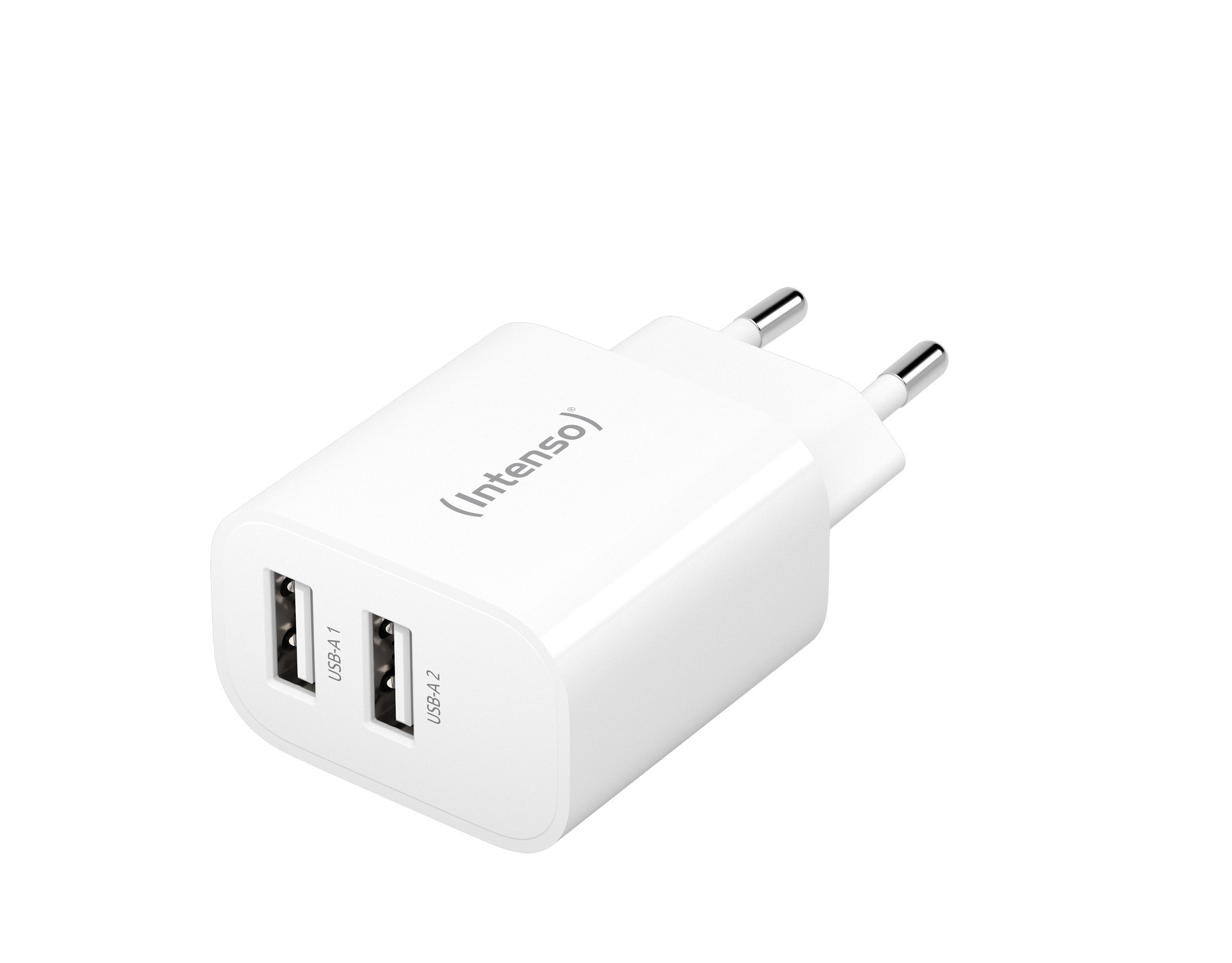 Intenso W24AA USB-Ladegerät 24 W – USB-A×2 – EU-Stecker (Typ C), Weiss
