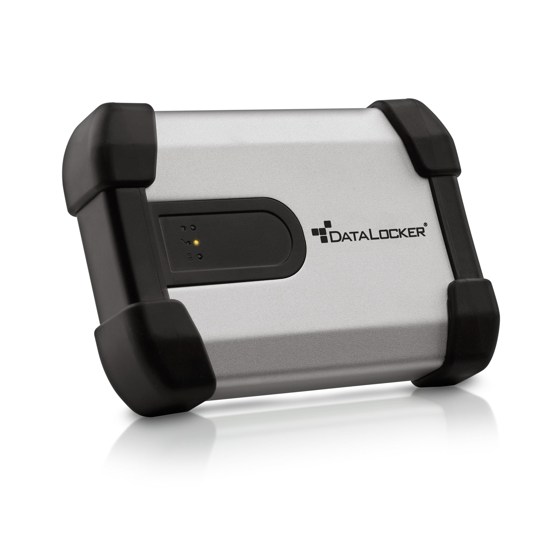 DataLocker IRONKEY H350 Basic – 2 TB, 2,5" HDD, USB 3.2 Gen 1, 5400 U/min