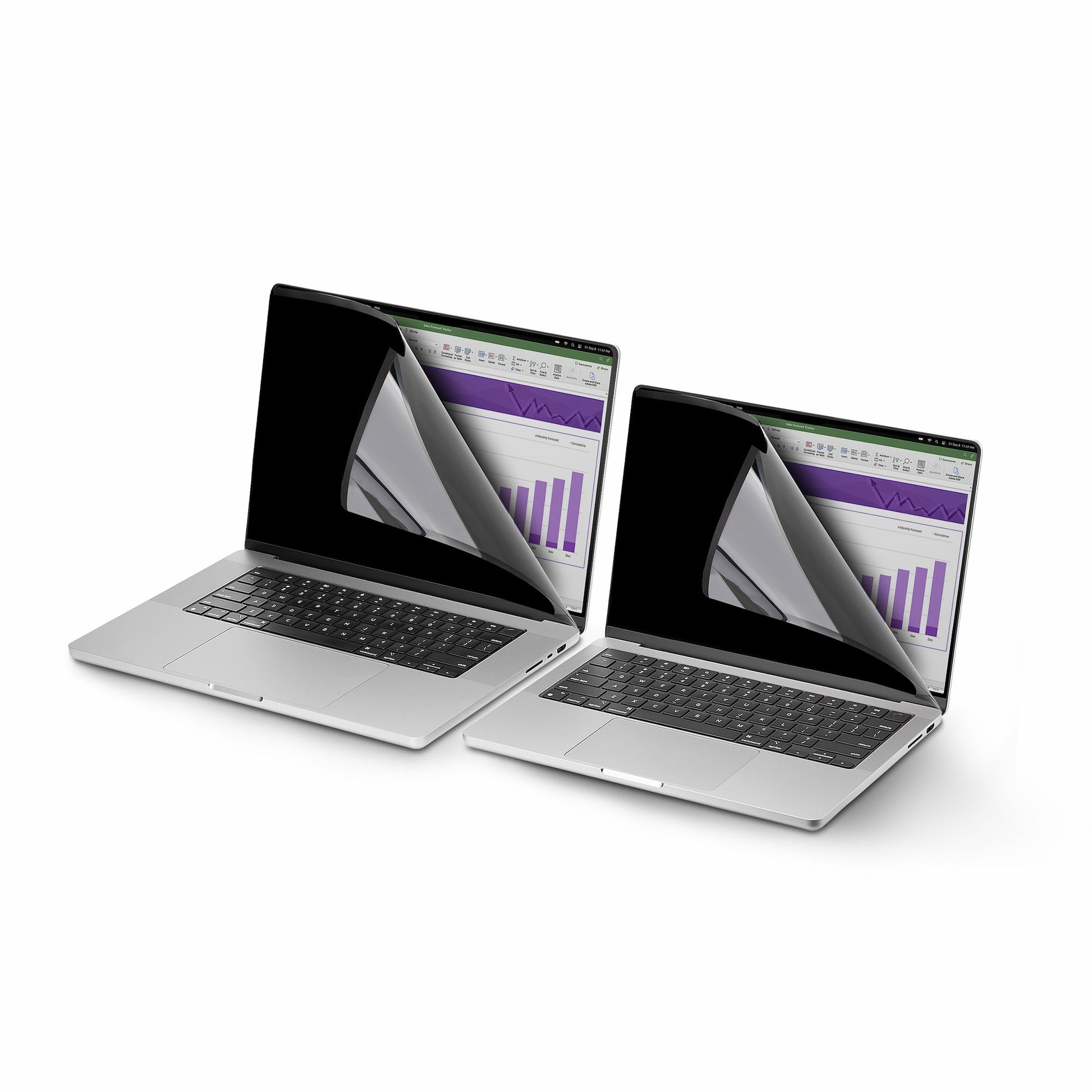 StarTech.com Displayschutz für 14,1" Laptop