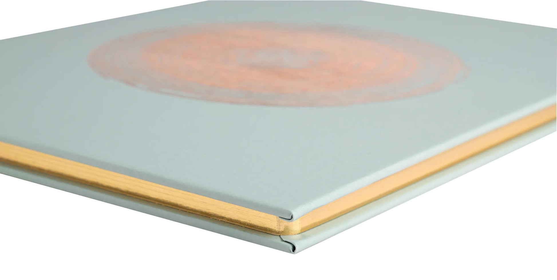 Exacompta Gästebuch Ellipse – 100 Seiten – 220 × 270 mm – Hardcover, gold, grün