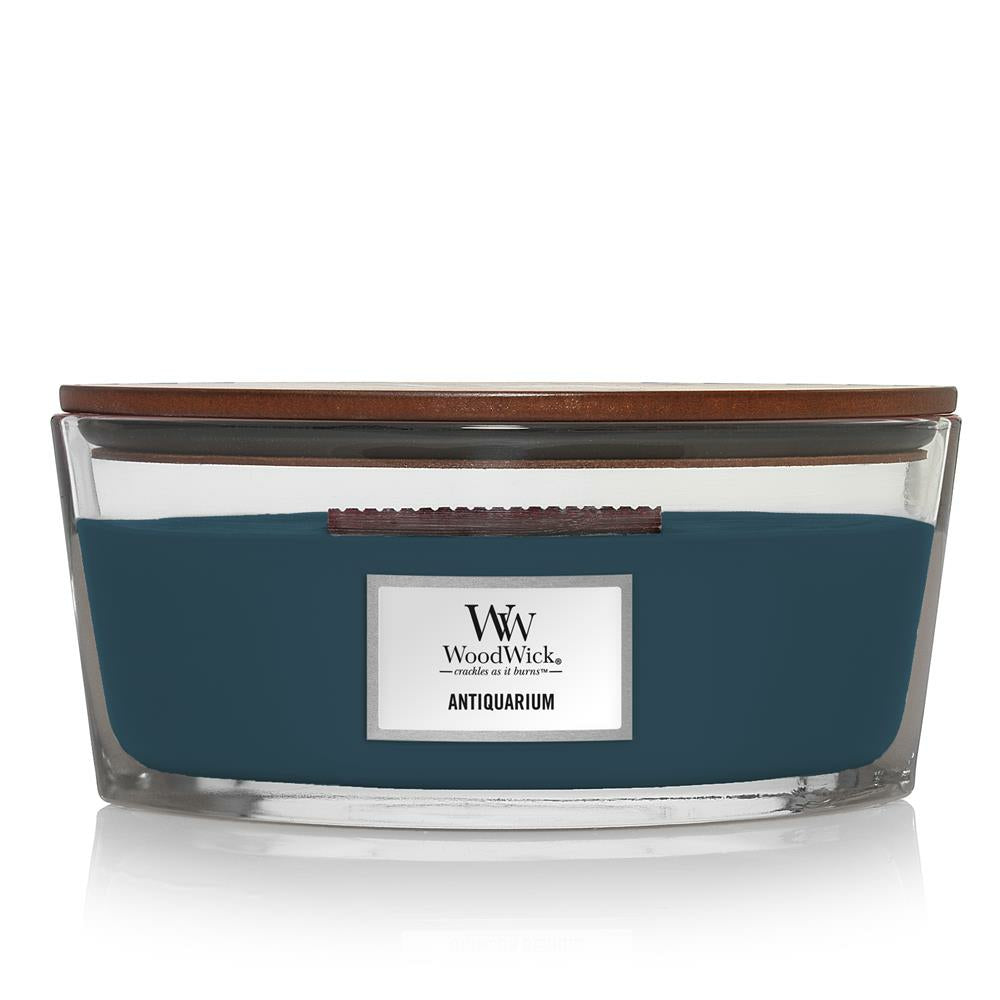 WoodWick Duftkerze Antiquarium, blau, Glas, Ø 19 cm, Höhe 9 cm, parfümiert, 1 Stück