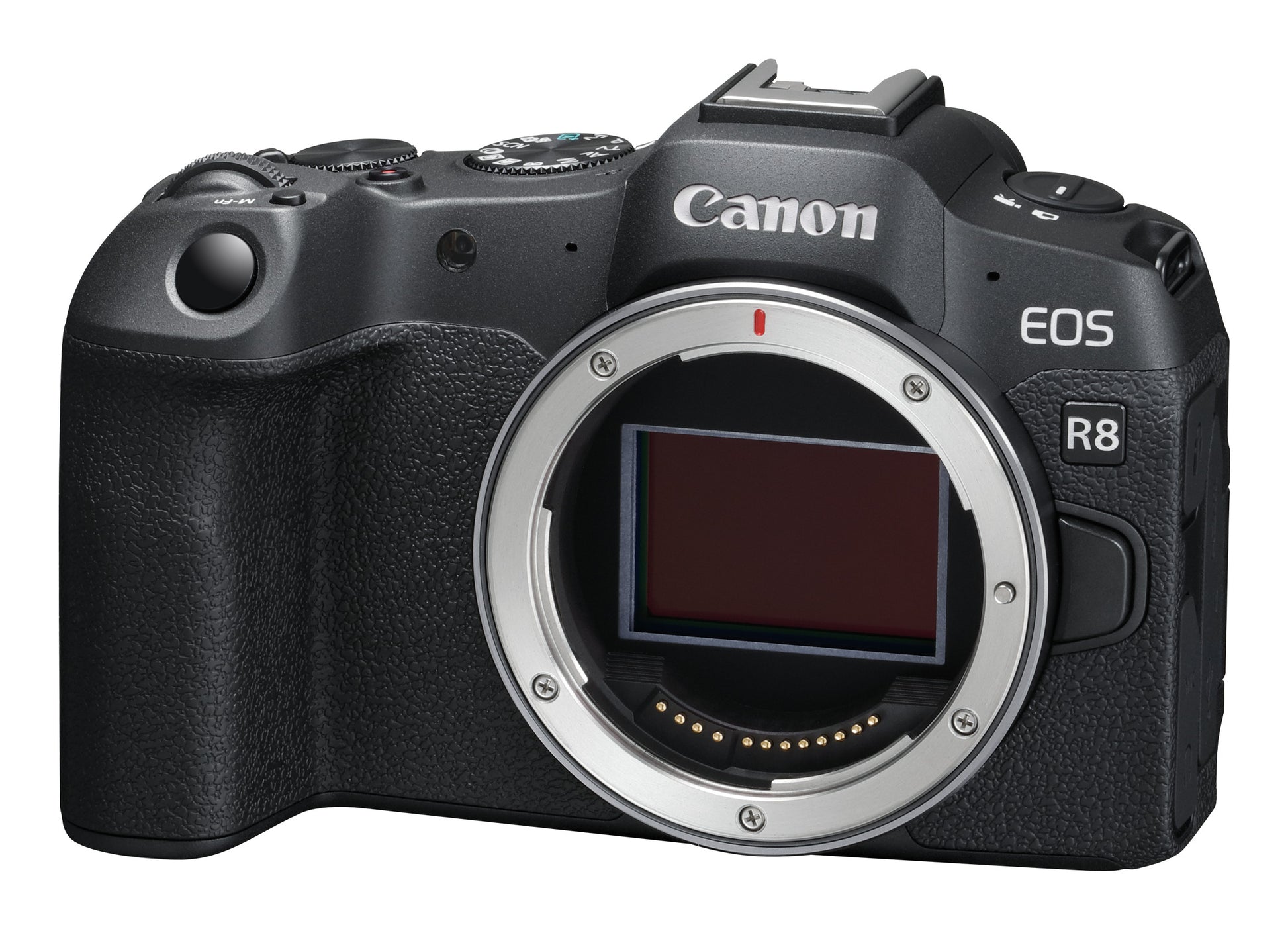 Canon EOS R8 – Systemkamera Body