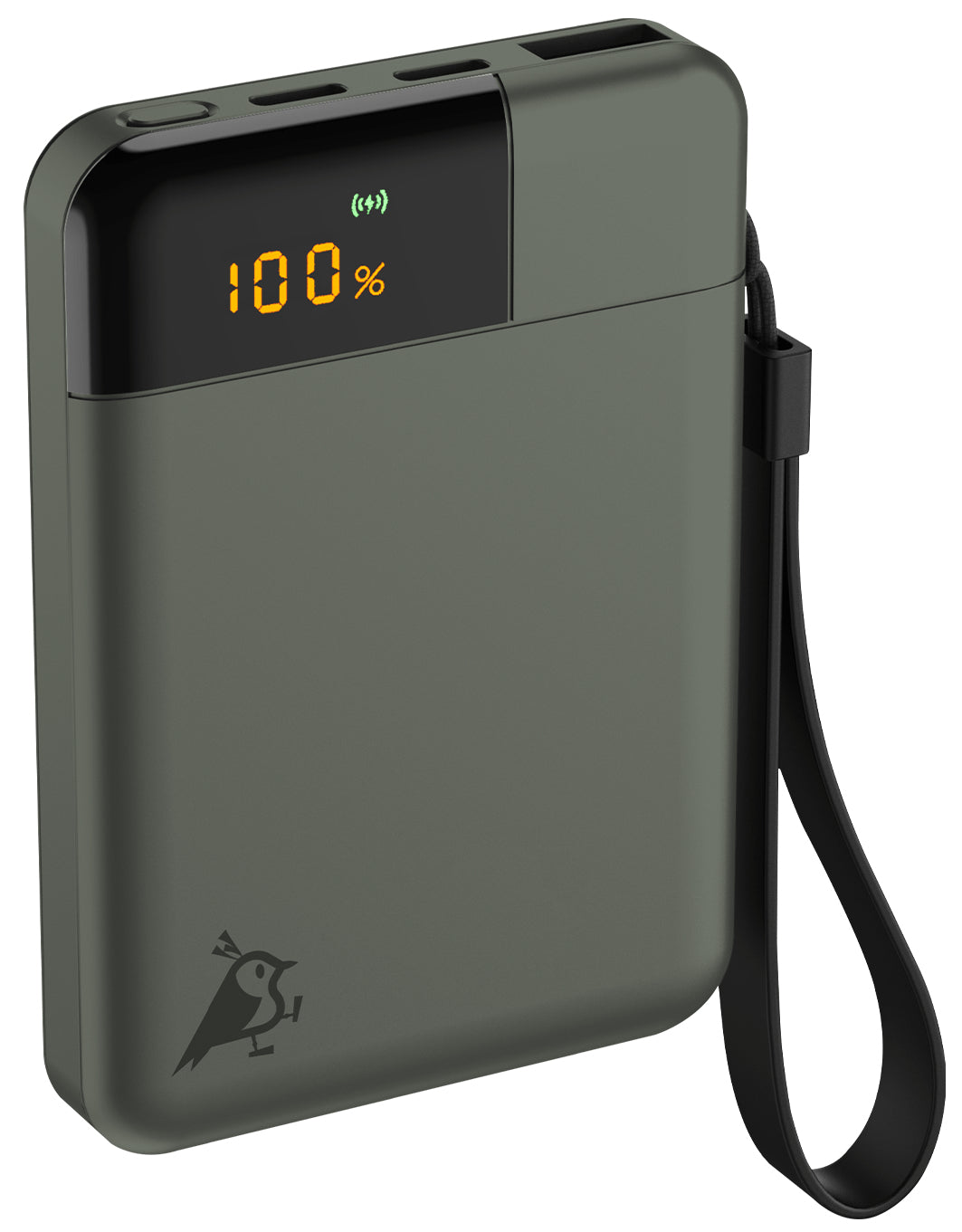 Aqiila Powerbird B5 Powerbank 5'000 mAh – 12 W, 2× USB-C, 1× USB-A, Moosgrün