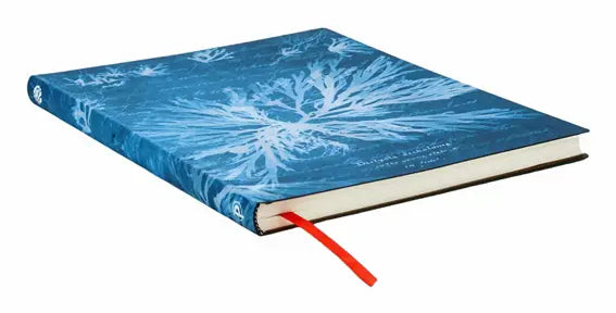 Paperblanks Notizbuch, 175 × 225 mm, liniert, gebunden, Hardcover, 80 Seiten – Meer-Motiv, grünblau