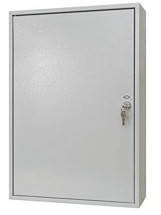 Wedo Schlüsselkasten 102 72037X, 200 Haken, Zylinderschloss, Stahl, Grau – Wandmontage