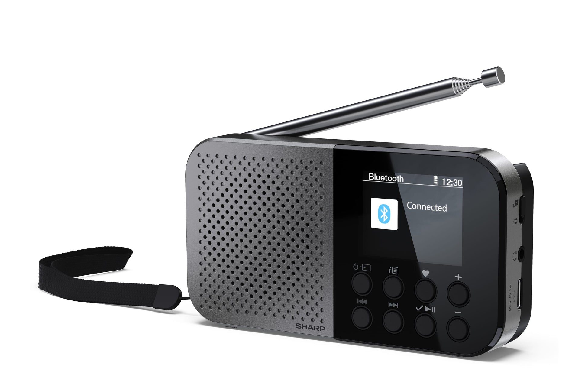 Sharp DR-P520 – DAB-/Internetradio – Portabel – DAB+, UKW, Bluetooth, 12 h – Grau