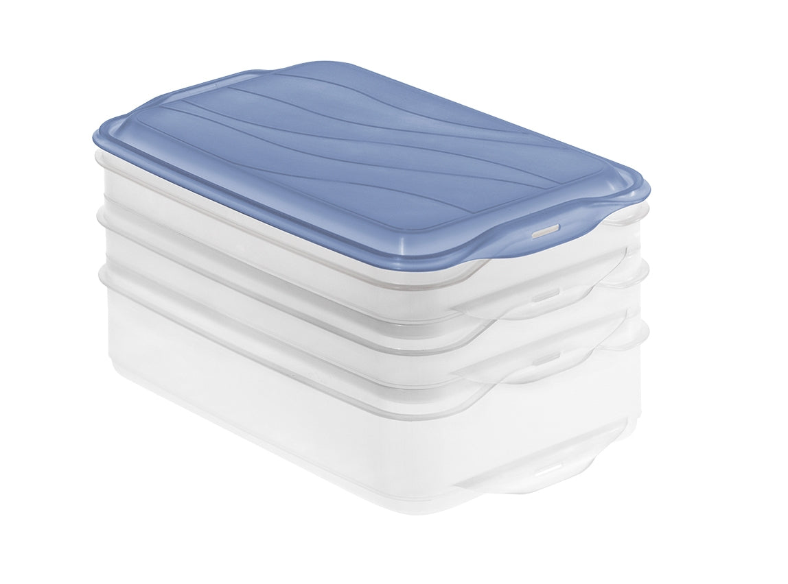 Rotho Vorratsdose 2,9 l, 15,5 × 23,5 × 11,5 cm, Polypropylen (PP), transparent/blau