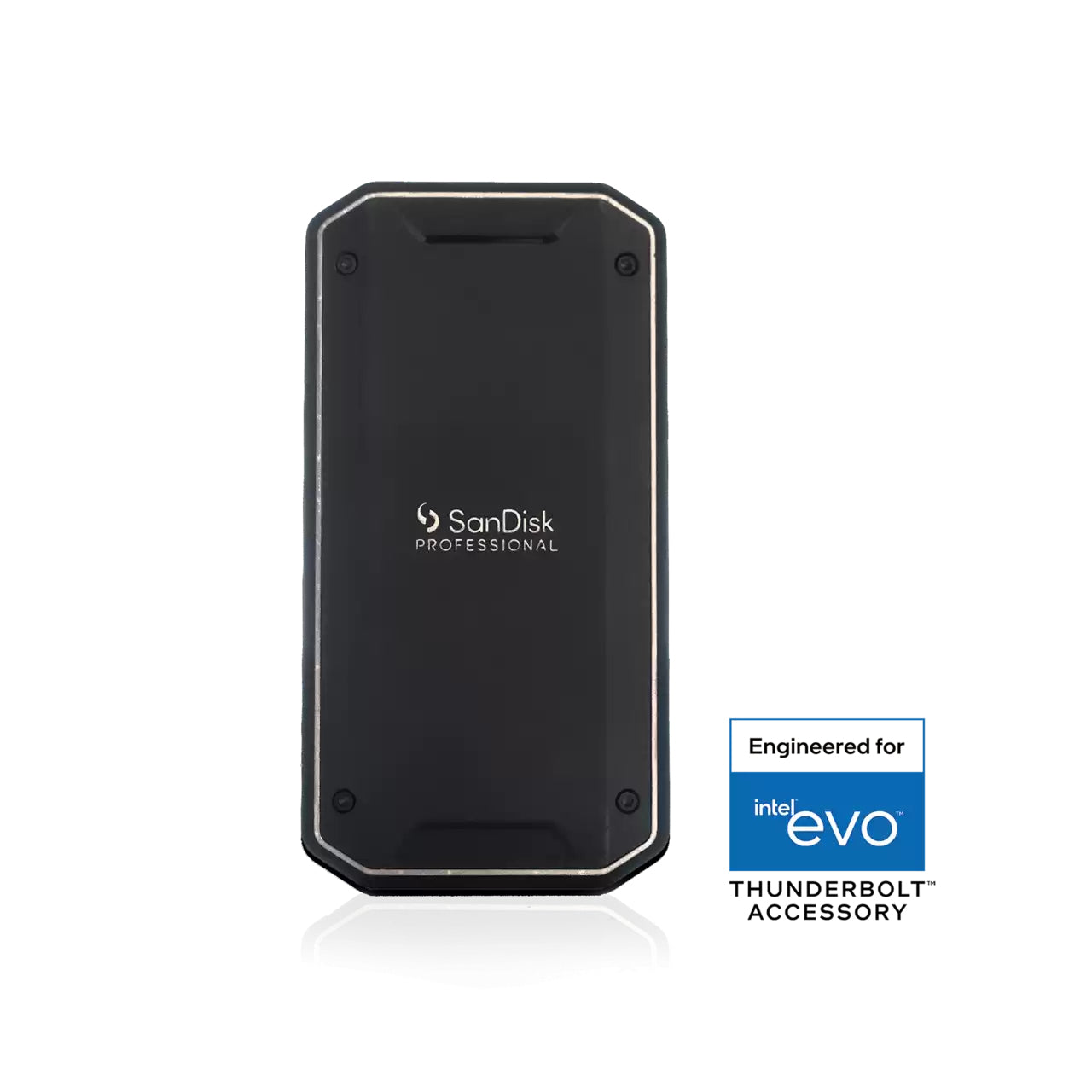 SanDisk Professional Pro G40 Speichergerät – 1 TB, Thunderbolt 3, IP68
