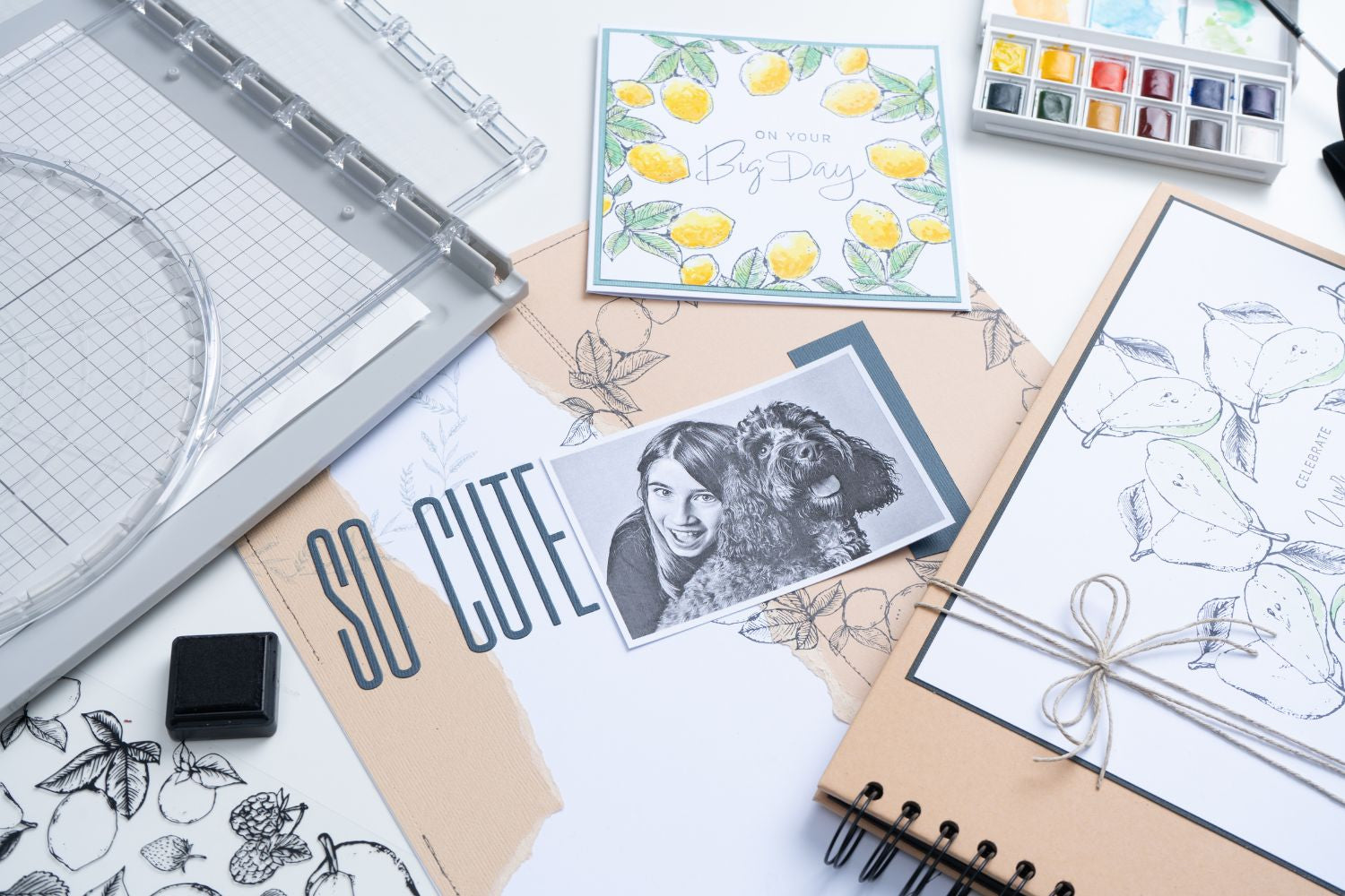 Sizzix Stempelwerkzeug – transparent