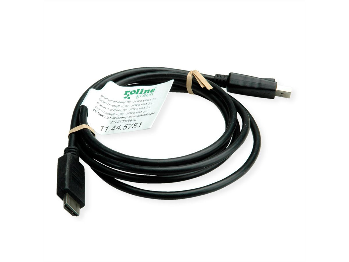 ROLINE GREEN DisplayPort auf HDMI Kabel DP 1.1 1080p 60 Hz – 2 m – für TV, Beamer, Projektor