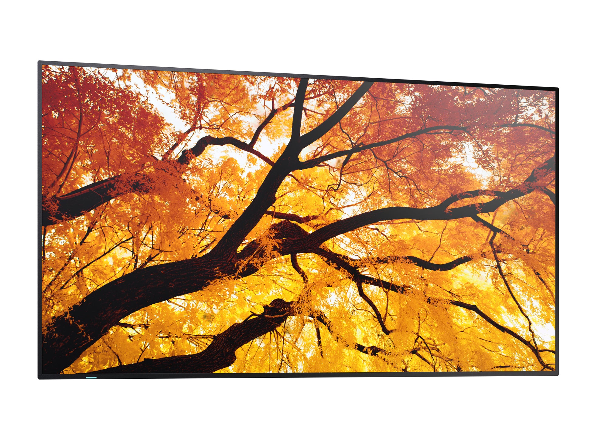 Sharp MultiSync PN-M982 – 97,5", 3840 × 2160 (4K), IPS, USB-C 60 W, LAN