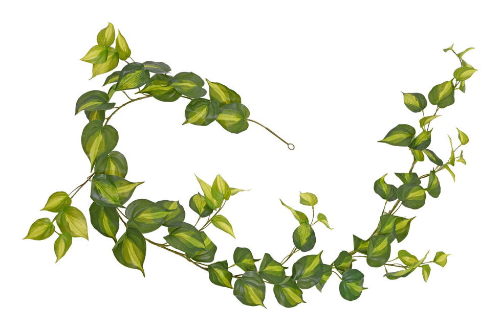 Botanic-Haus Künstliche Topfpflanze – Ø 15 × 180 cm – Kunststoff, Grün