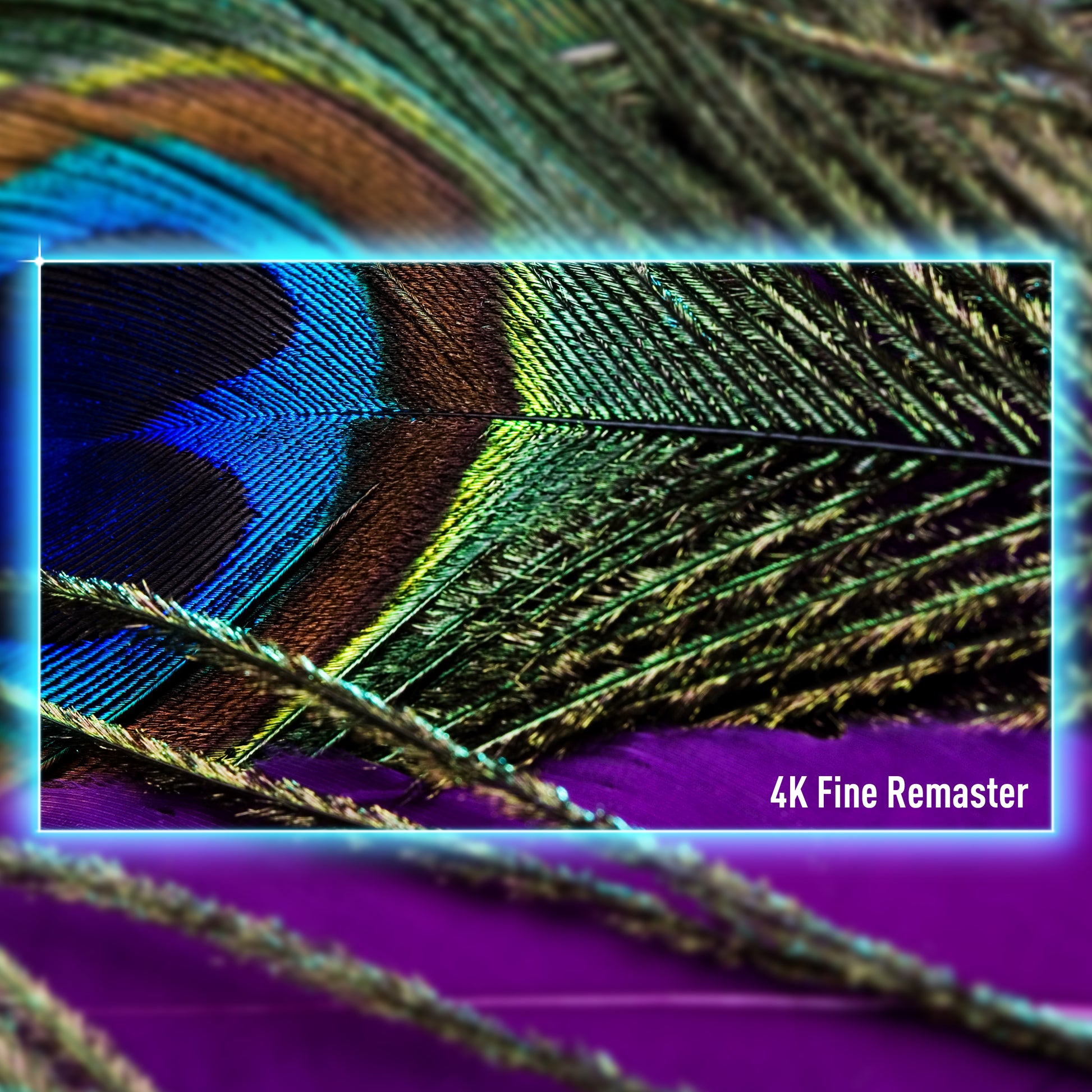 Panasonic TV – 65W95AEG, Mini-LED 4K, Schwarz