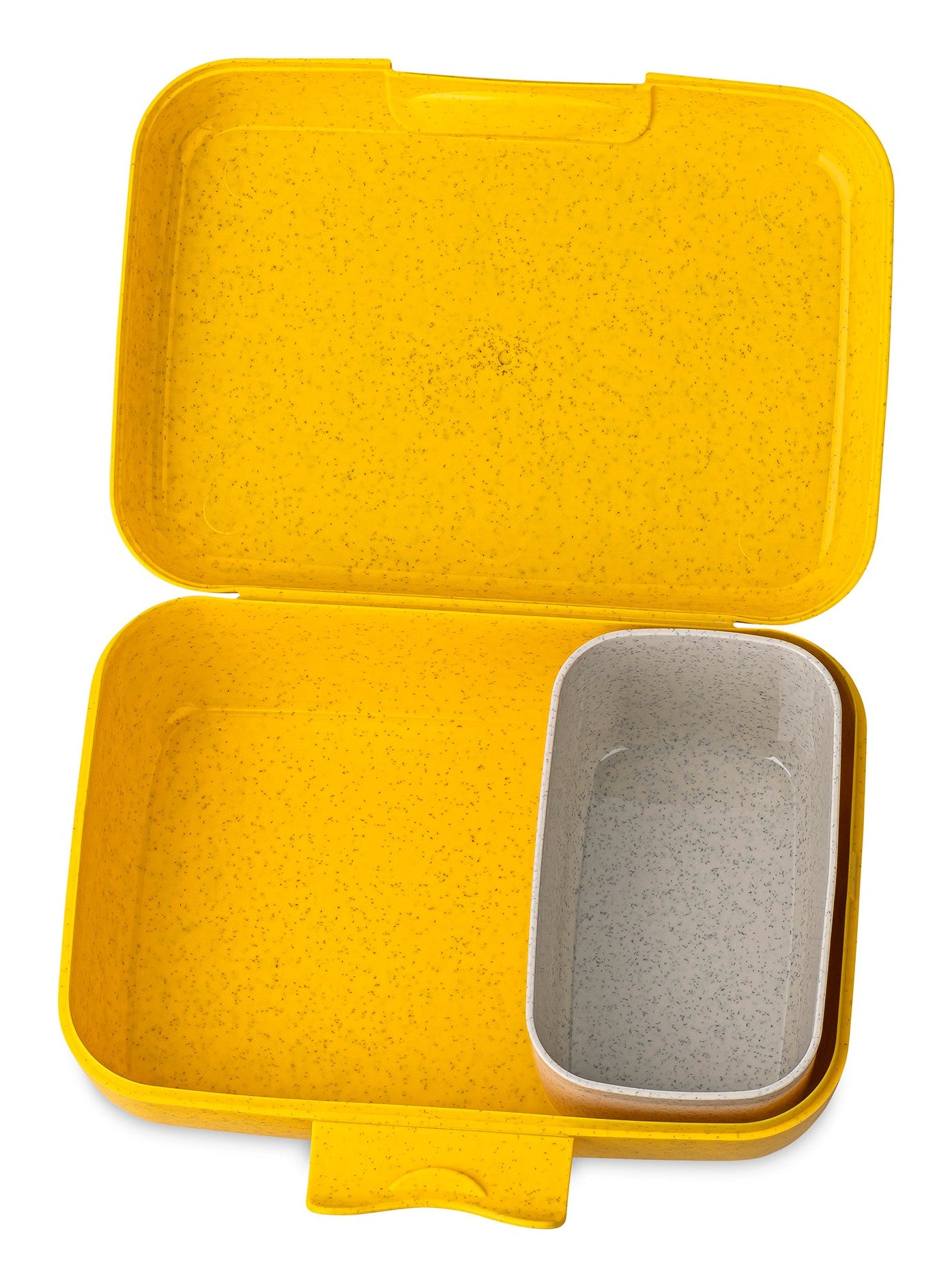 Koziol Lunchbox CANDY L SQUIDWARD – 19,0 × 13,5 × 6,5 cm, Kunststoff (biozirkulär), mit Trennschale