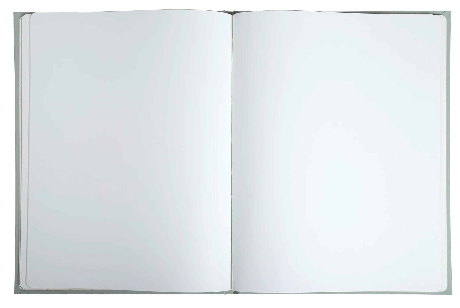 Exacompta Gästebuch Ellipse – 100 Seiten – 220 × 270 mm – Hardcover, gold, grün