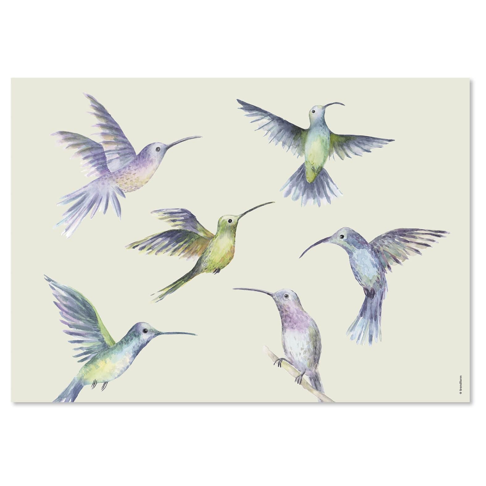 Trendform Tischset Fly Away – Papier, Schmetterlingsmotiv, 42 × 29,7 cm – 48 Stk.