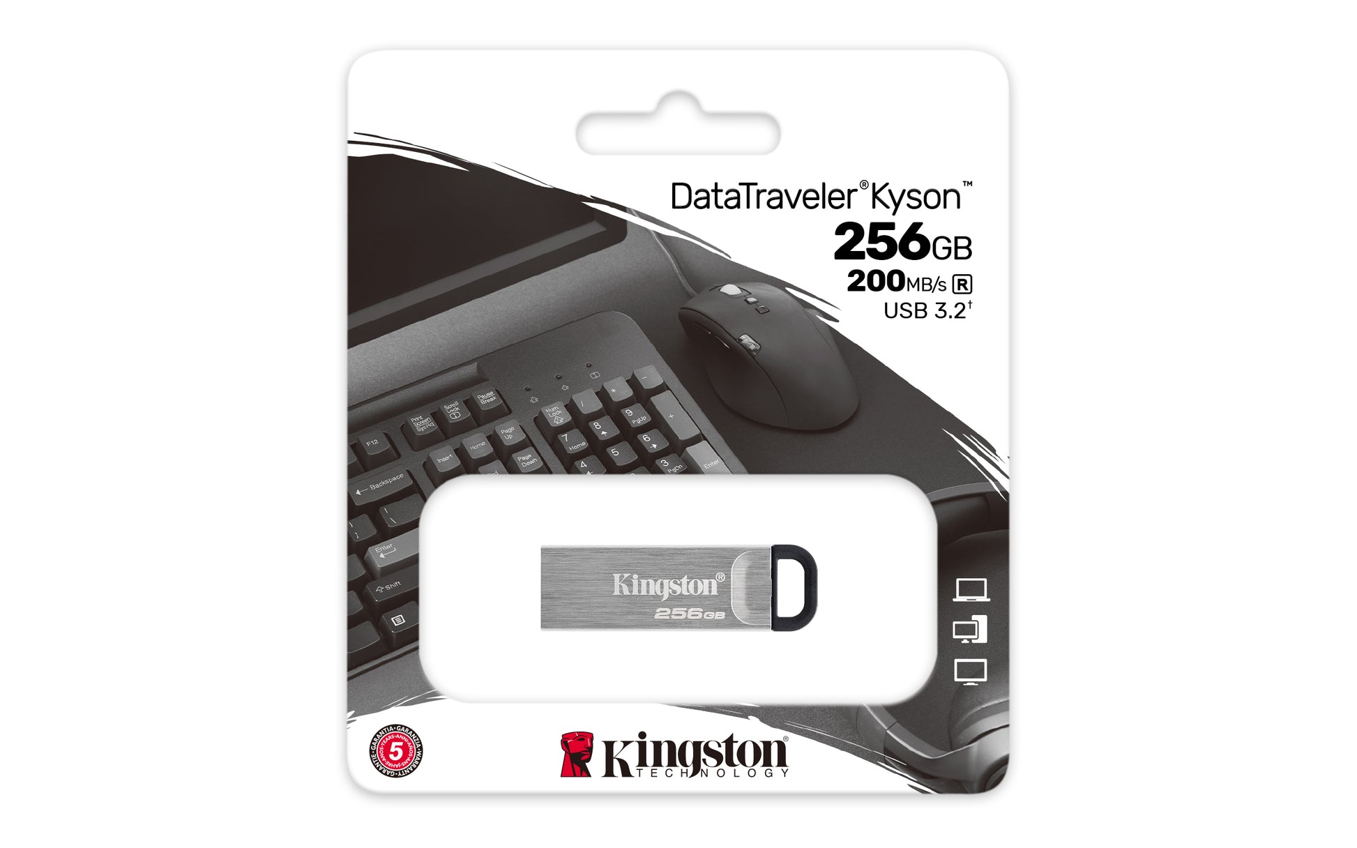 Kingston Technology Kingston DataTraveler Kyson USB-Stick – 256 GB, USB 3.2 Gen 1